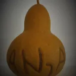 Apartmaji Hrvatin V Kortah Izola