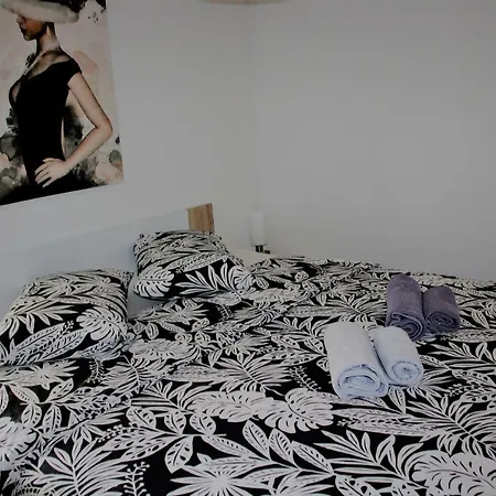 Apartmaji Hrvatin V Kortah